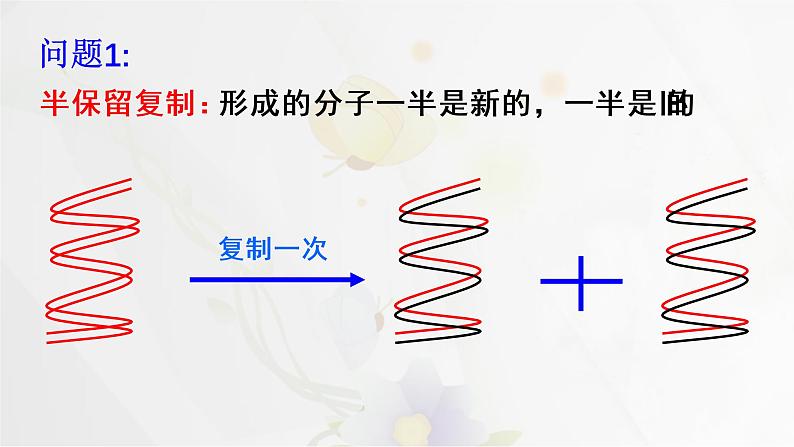 3.3DNA的复制课件PPT第6页