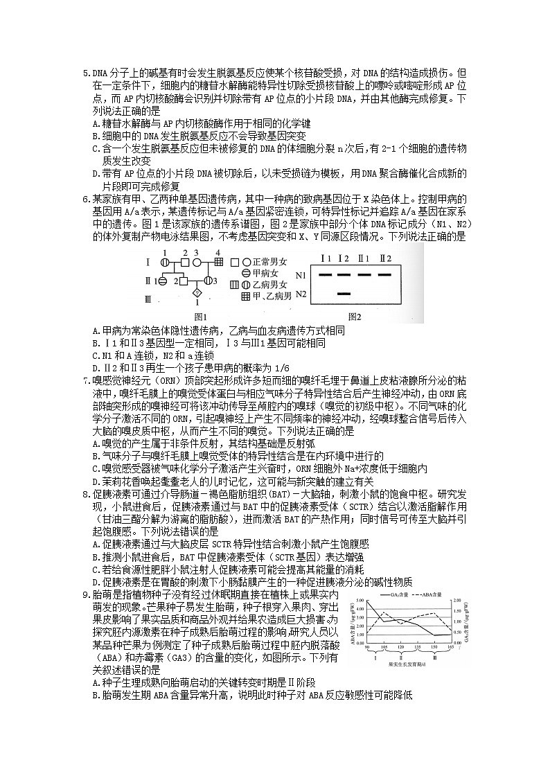 2022山东省济南市高三二模生物试卷第2页