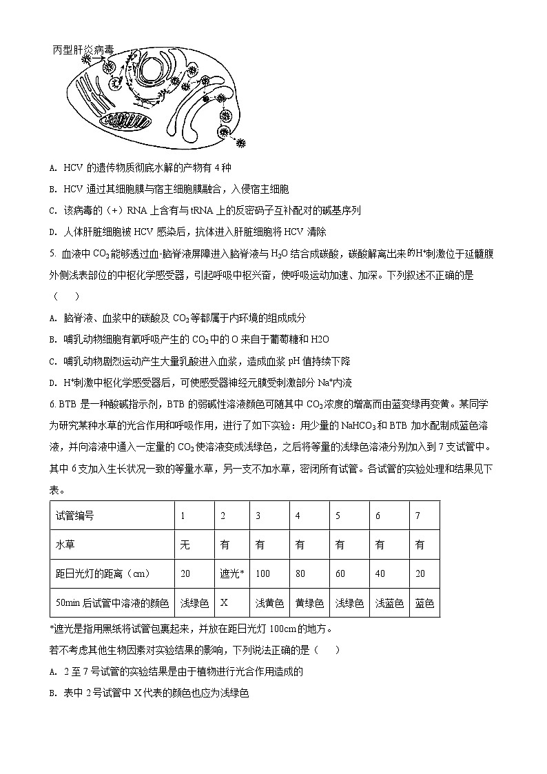 2022届天津市河北区高三（下）总复习质量检测（一）生物试题及答案02