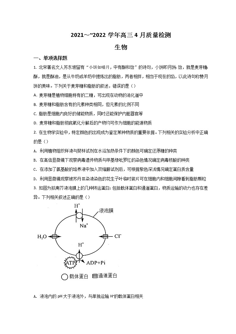 2022衡水高三下学期二模考试生物试题含答案01
