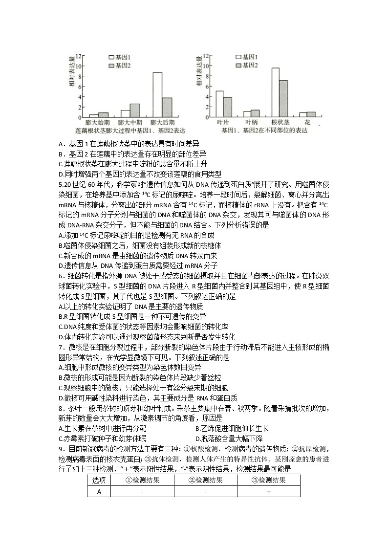 2022武汉高三下学期4月调研考试生物含答案02