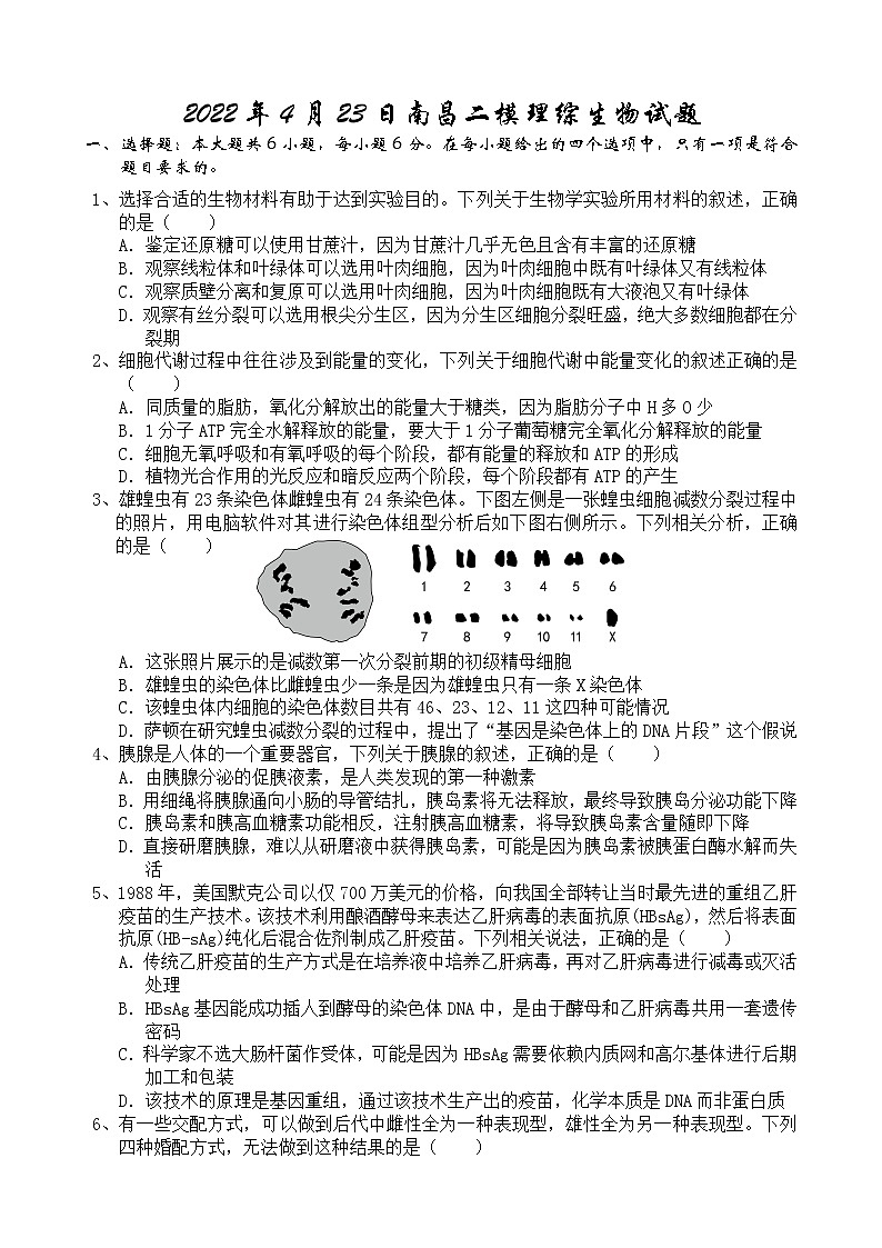 2022江西省南昌市高三二模理综生物试题（含答案）01