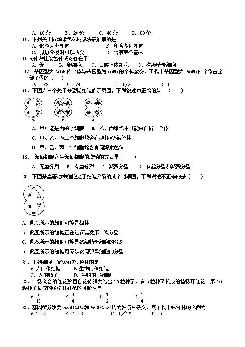 陕西省汉滨区五里高级中学2021-2022学年高一下学期期中生物试题（含答案）第2页