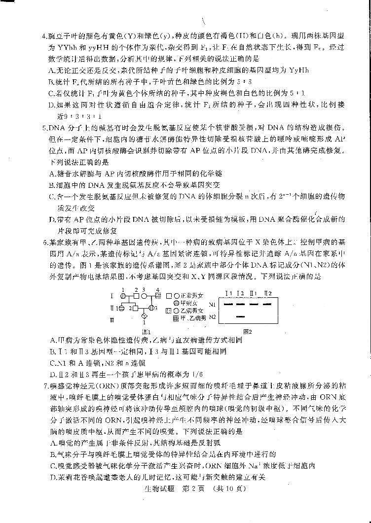2022山东济南高三二模 生物试卷及答案（高清可编辑）02