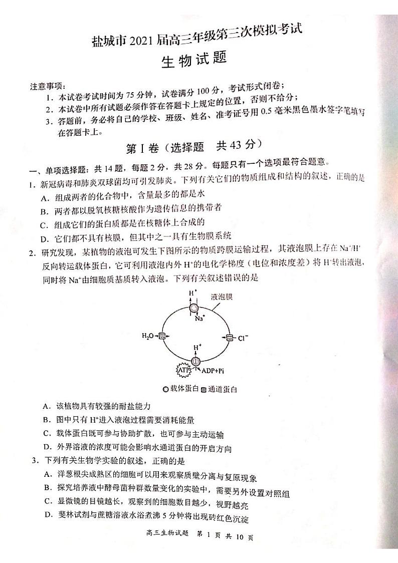 2021届江苏省盐城市高三三模生物卷+答案(图片版)01