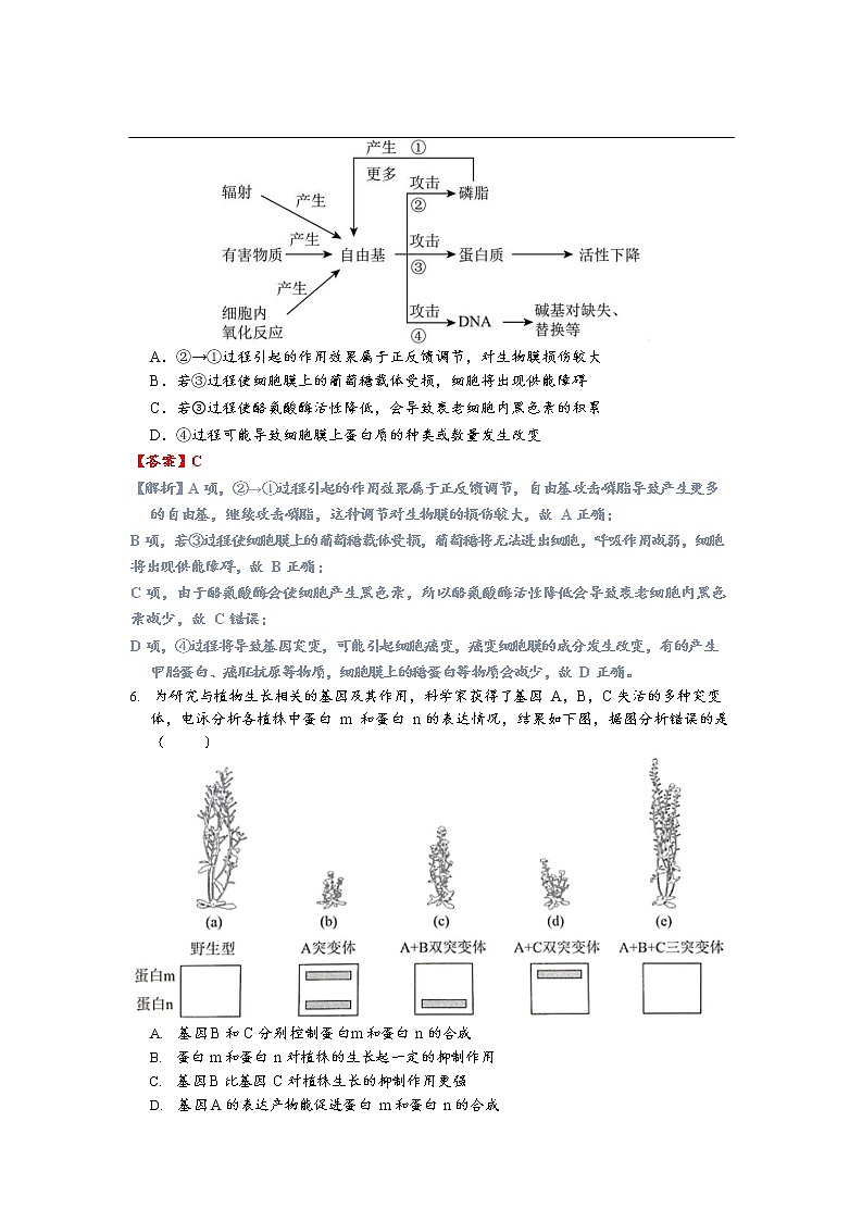 2021届江苏省南京市高三三模生物卷+答案03