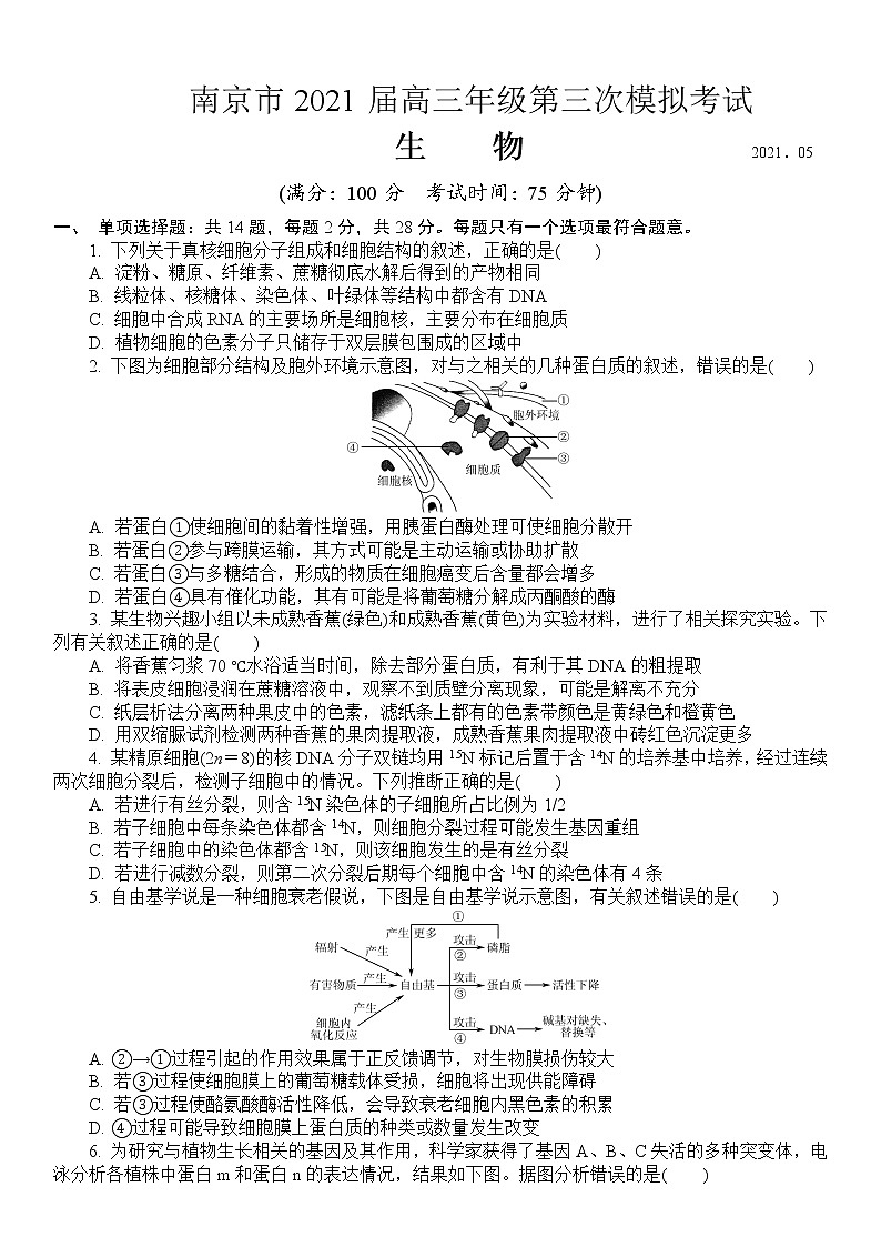 2021届江苏省南京市高三三模生物卷+答案01