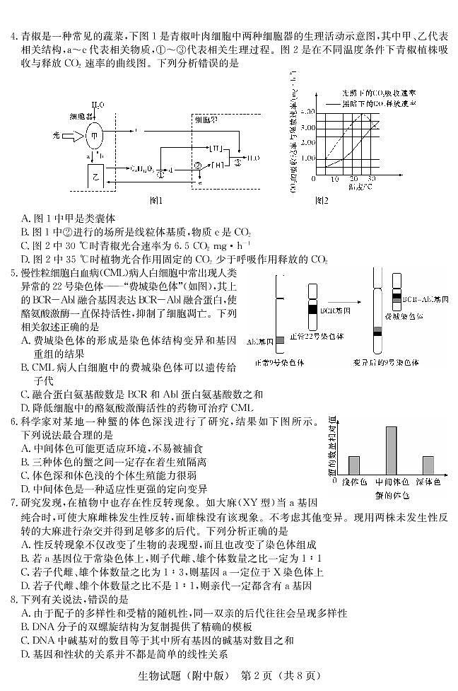2022湖南师大附中高三下学期二模试题（第九次）生物PDF版含解析02