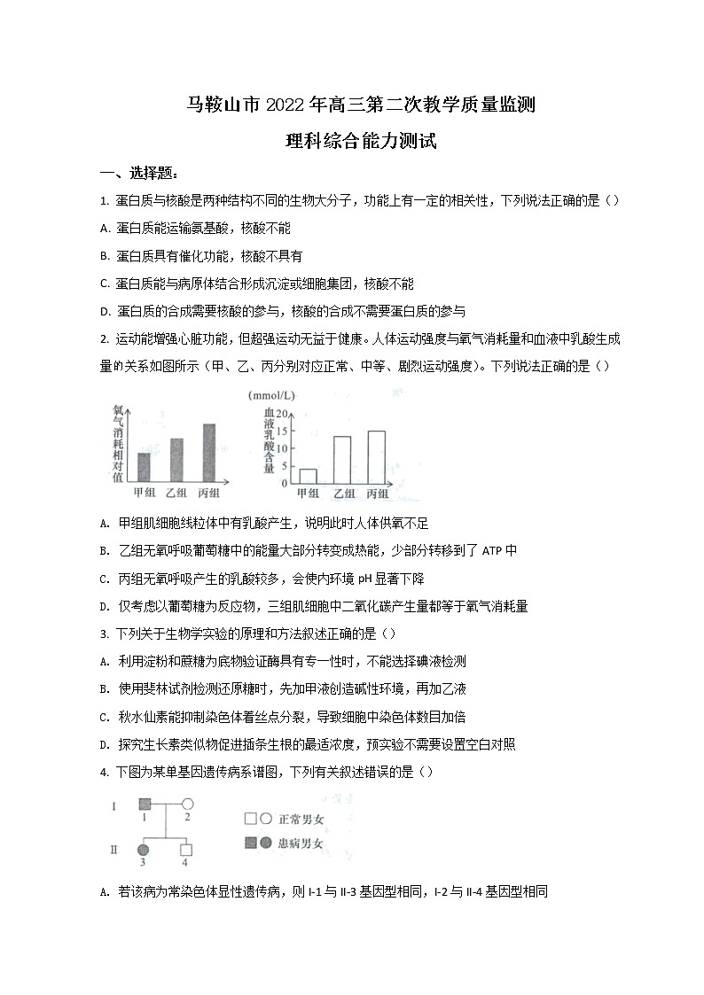 2022马鞍山高三下学期第二次教学质量检测（二模）生物试题含答案01