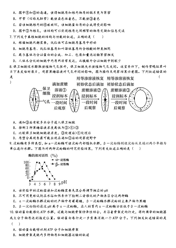 2022乌鲁木齐一中高一下学期期中生物试题02