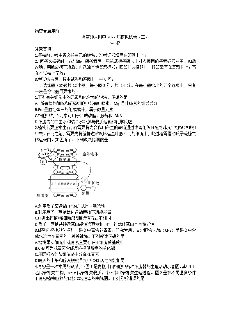 2022届湖南省长沙市湖南师大附中高三下学期二模考试生物试题（含答案解析）01