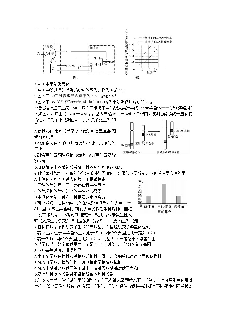 2022届湖南省长沙市湖南师大附中高三下学期二模考试生物试题（含答案解析）02