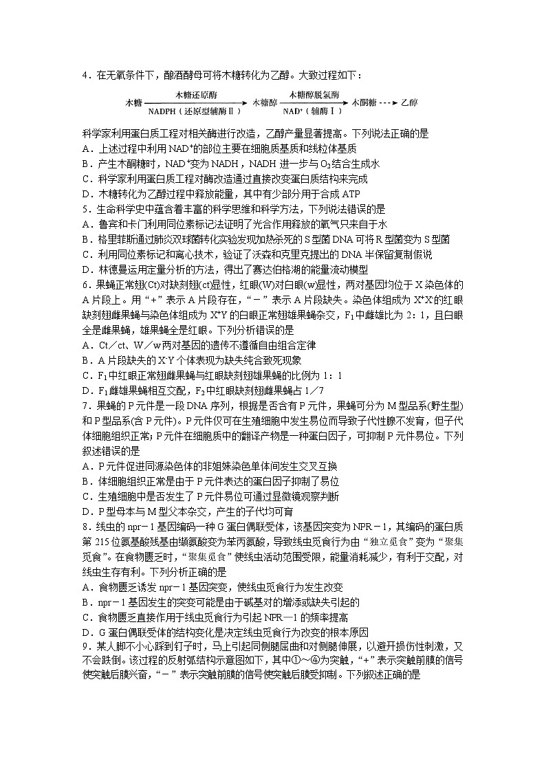 2021年山东省临沂市高三第二次模拟考试生物卷及答案02