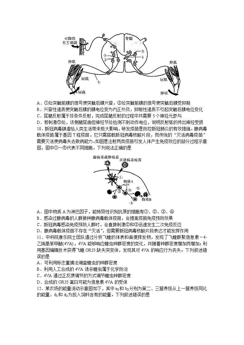 2021年山东省临沂市高三第二次模拟考试生物卷及答案03
