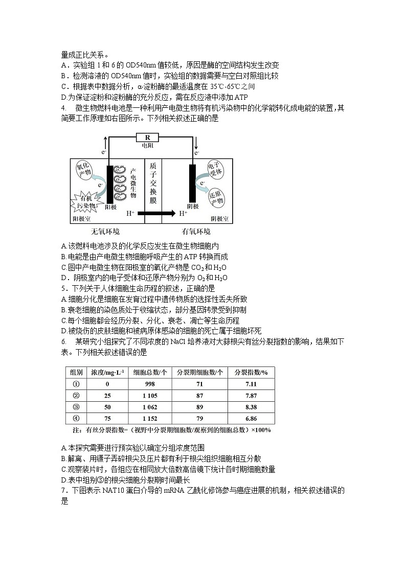 2022届江苏省苏锡常镇四市高三二模生物（试卷）第2页