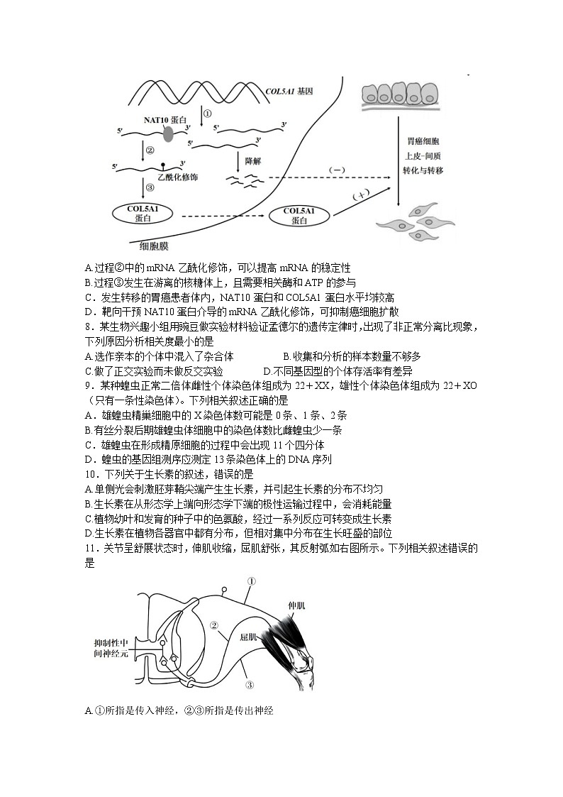 2022届江苏省苏锡常镇四市高三二模生物（试卷）第3页