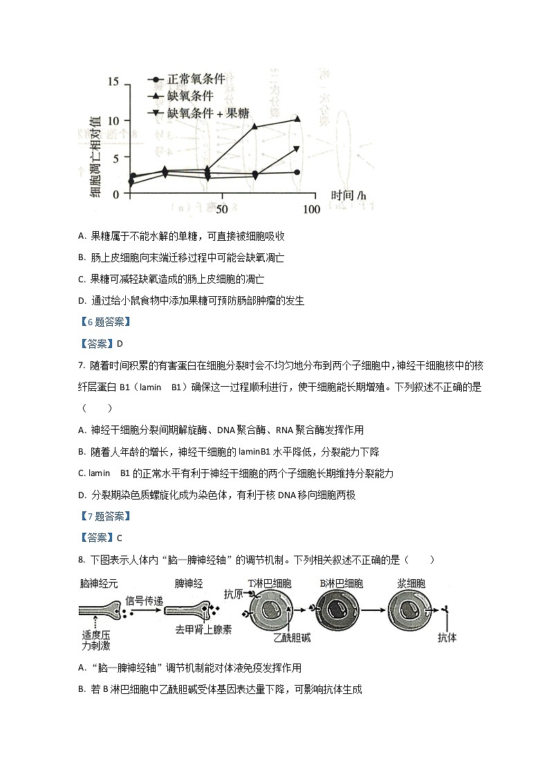 2022石家庄高三高中毕业班质检（二）（二模）生物含答案03