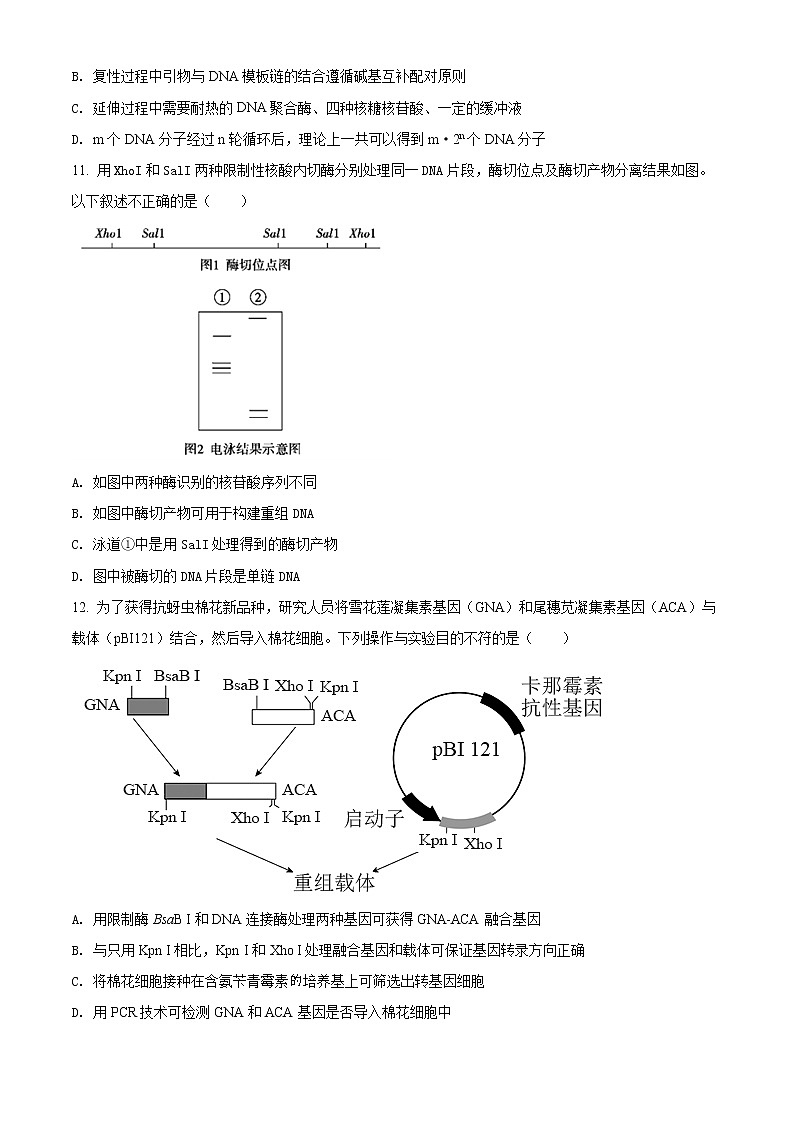 2022西安西安中学高二下学期期中生物试题03