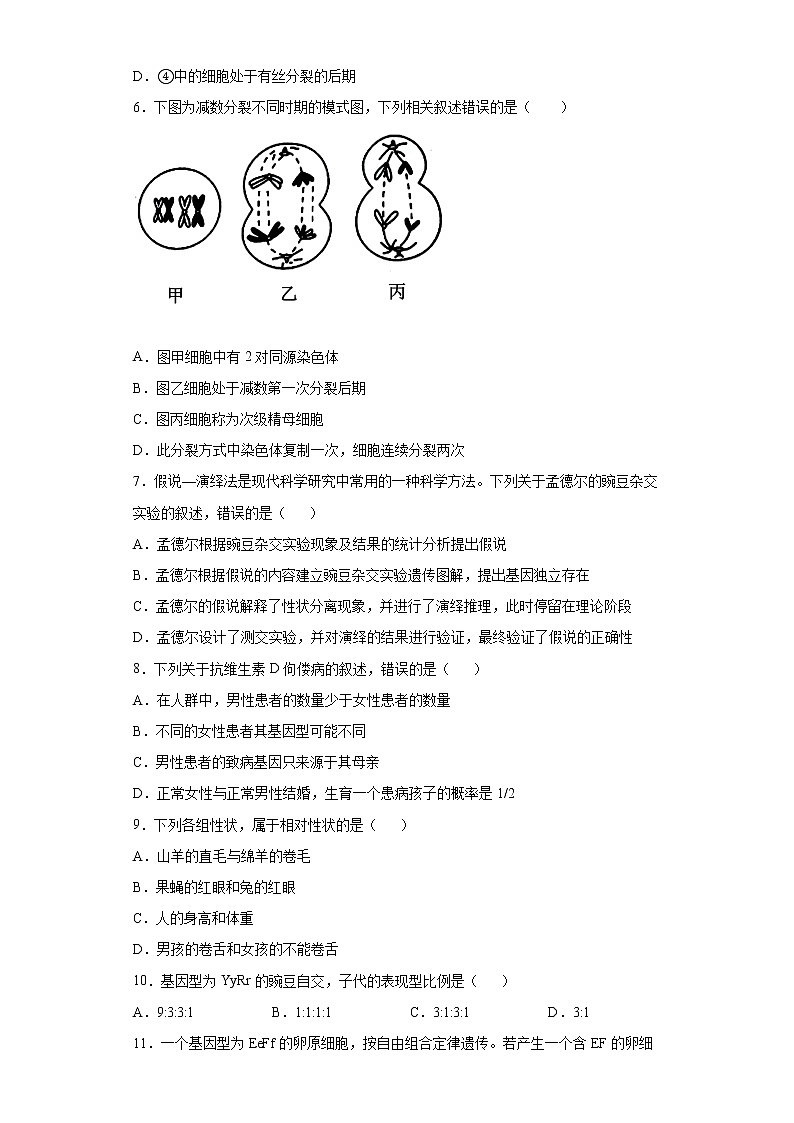 2022石家庄第35中学高一下学期4月月考试题生物含解析第2页
