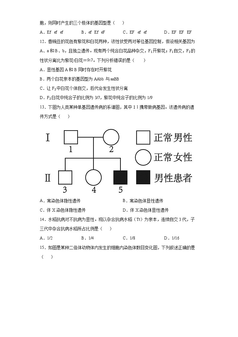 2022石家庄第35中学高一下学期4月月考试题生物含解析第3页