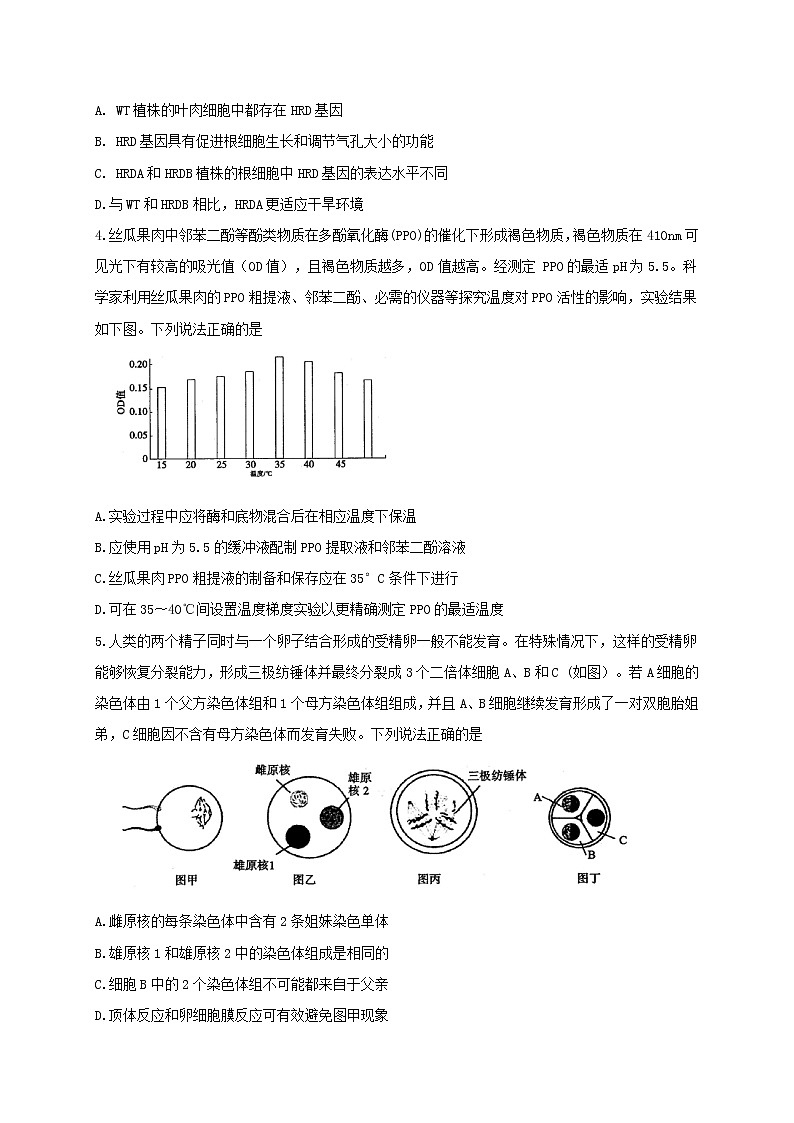 2021年山东省滨州市高三第二次模拟考试生物卷及答案02