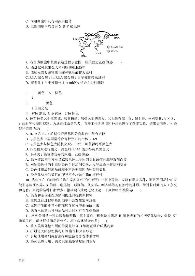 2020届江苏省七市（南通、泰州、扬州、徐州、淮安、连云港、宿迁）高三第三次调研考试（6月） 生物（PDF版）练习题02