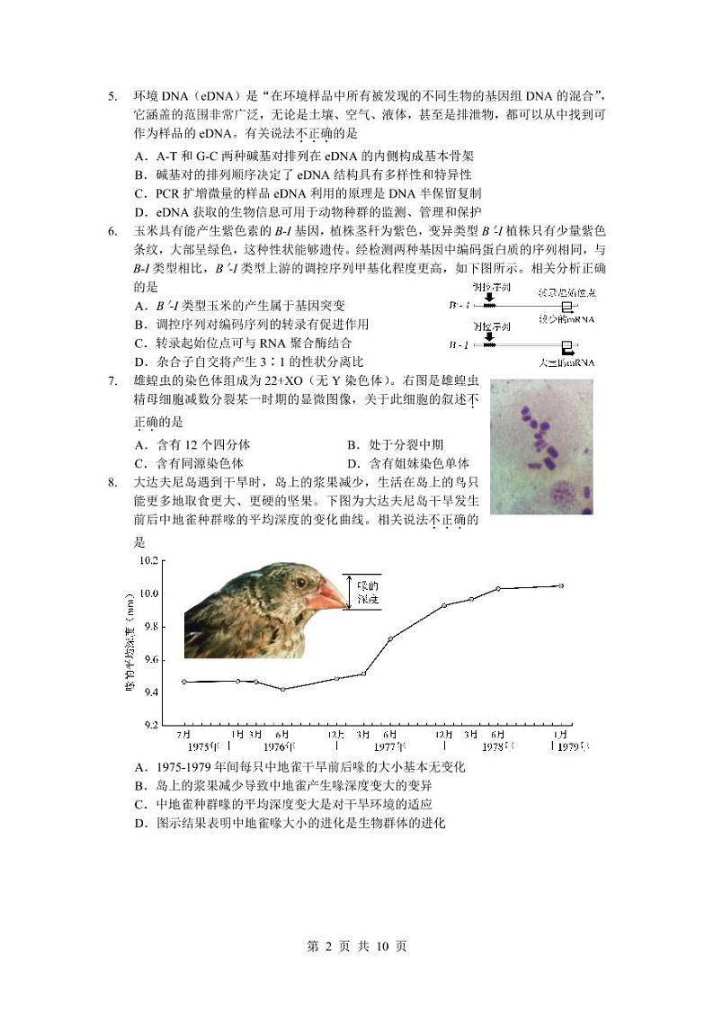 北京昌平区2022年高三年级第二次统一练习生物试卷含答案（昌平高三二模）02