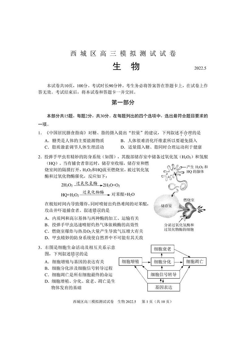 2022年北京西城区高三模拟测试试卷生物试卷含答案（西城高三二模）第1页