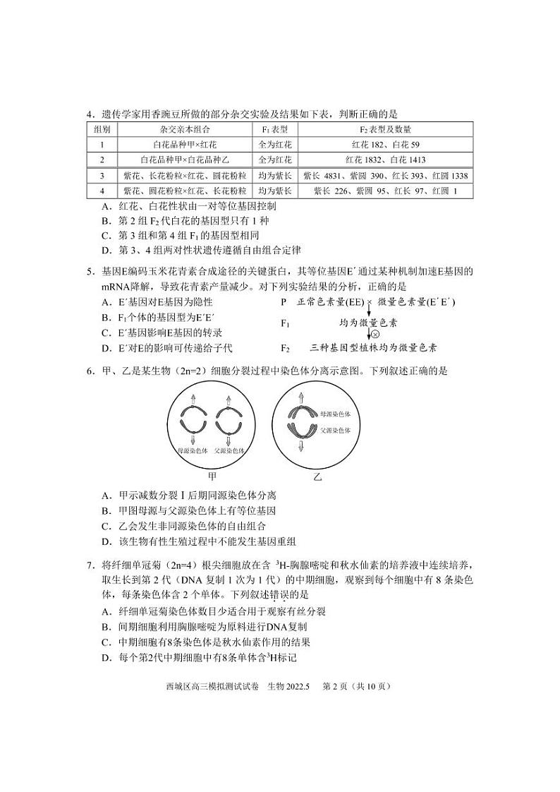 2022年北京西城区高三模拟测试试卷生物试卷含答案（西城高三二模）第2页