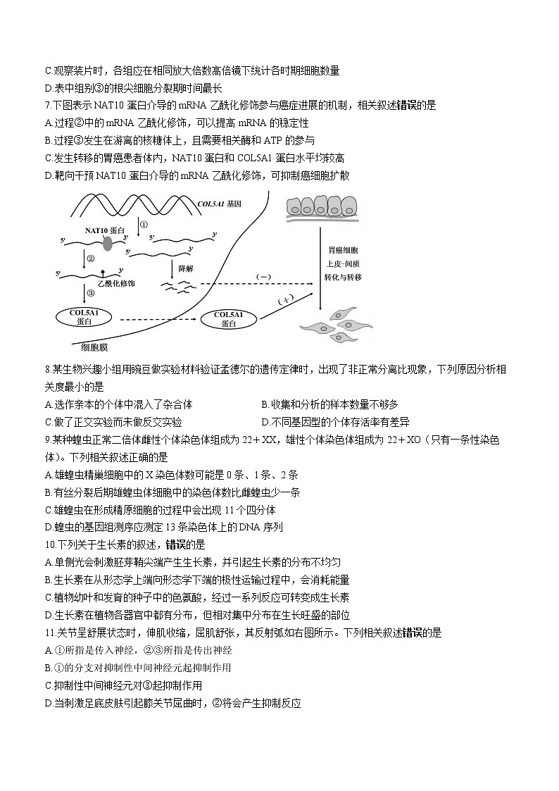 2022届江苏省苏锡常镇四市高三第二次模拟生物卷（文字版）第3页