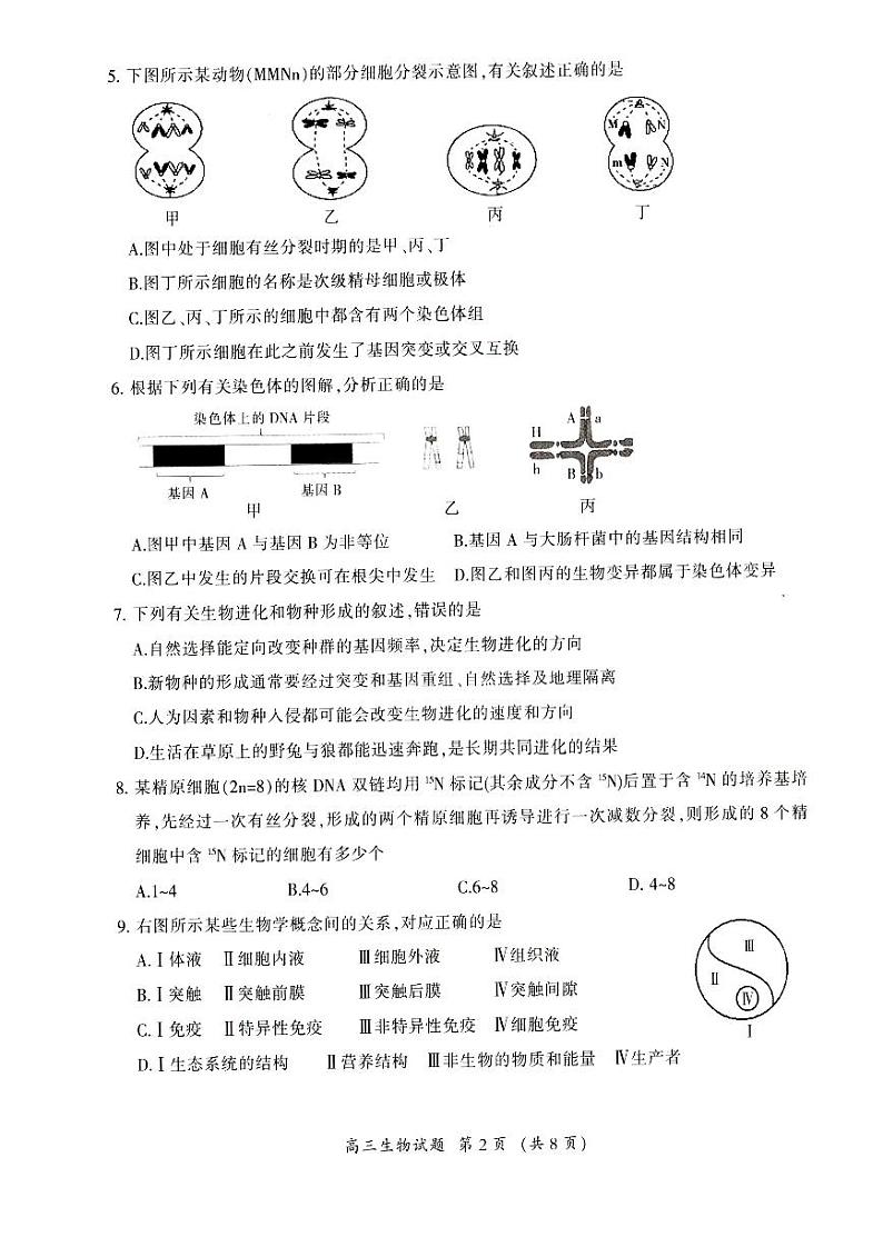 2022福建三明市普通高中高三5月质量测试（三模）生物试题及答案第2页