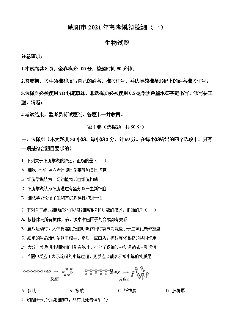 2021陕西省咸阳市高三第一次模拟考试生物试卷及答案01