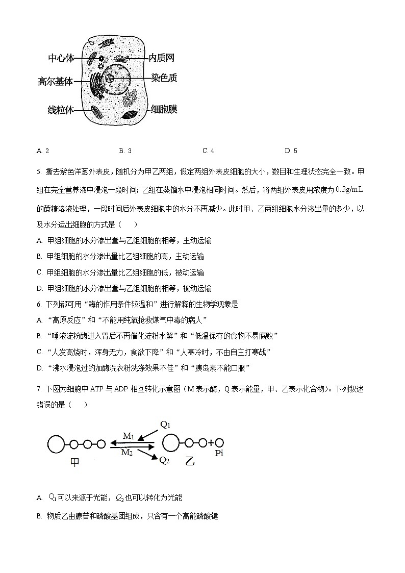 2021陕西省咸阳市高三第一次模拟考试生物试卷及答案02