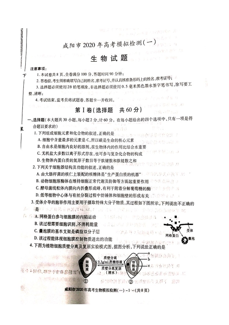 2020年陕西省咸阳市高三第一次模拟考试生物卷及答案01
