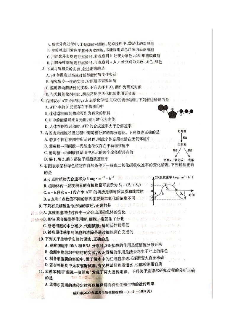 2020年陕西省咸阳市高三第一次模拟考试生物卷及答案02