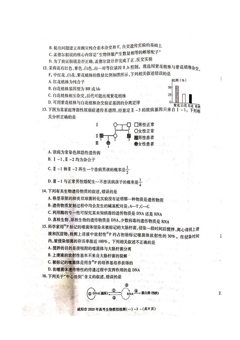 2020年陕西省咸阳市高三第一次模拟考试生物卷及答案03