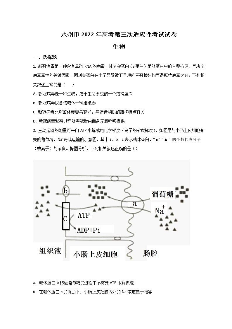 湖南省永州市2022届高三下学期第三次适应性考试（三模）生物试题+Word版含答案第1页
