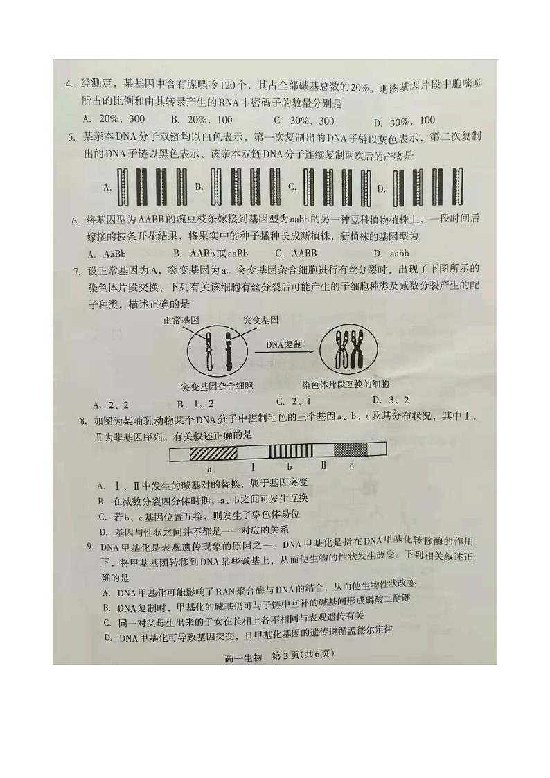 石家庄市2020-2021学年度第二学期期末教学质量检测高一生物试卷第2页