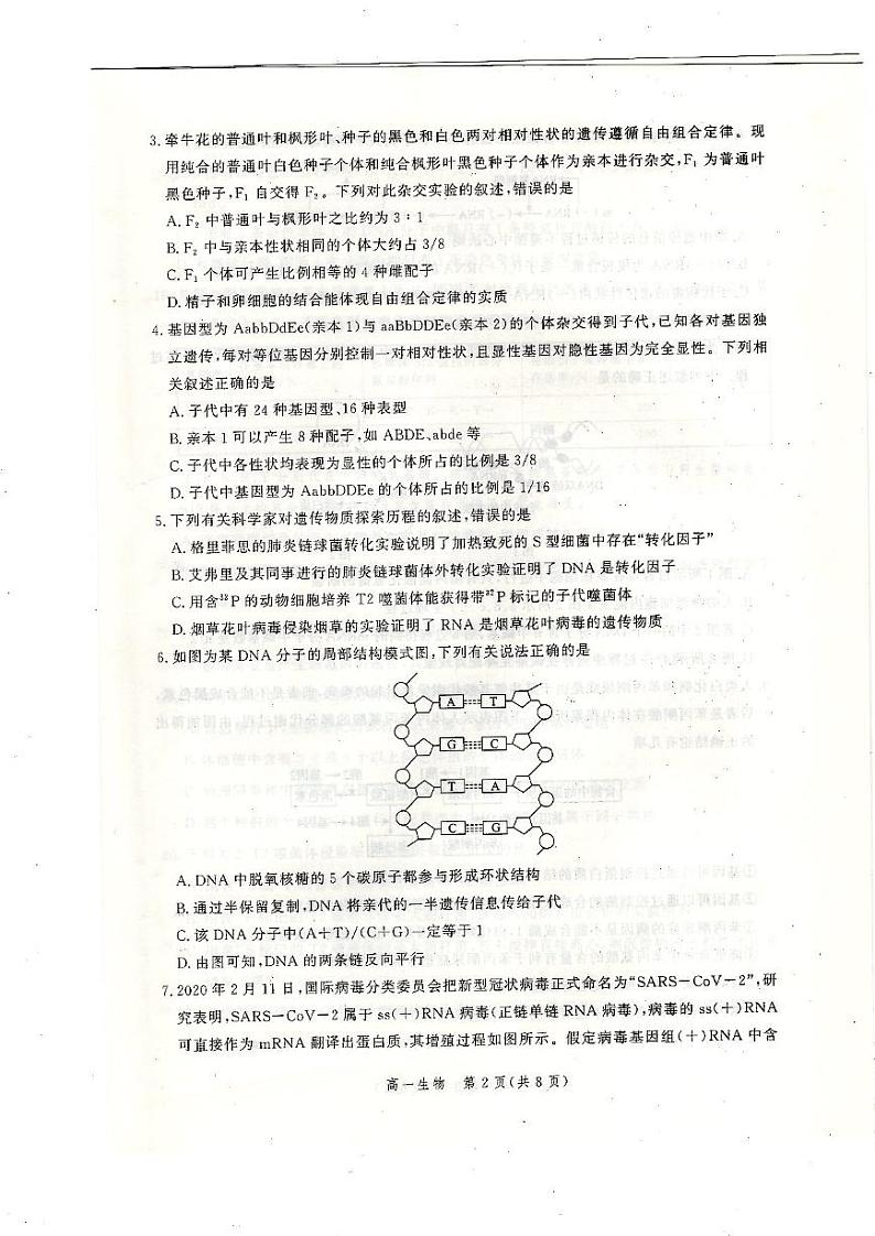 2021邯郸高一下学期期末考试生物试题扫描版含答案02