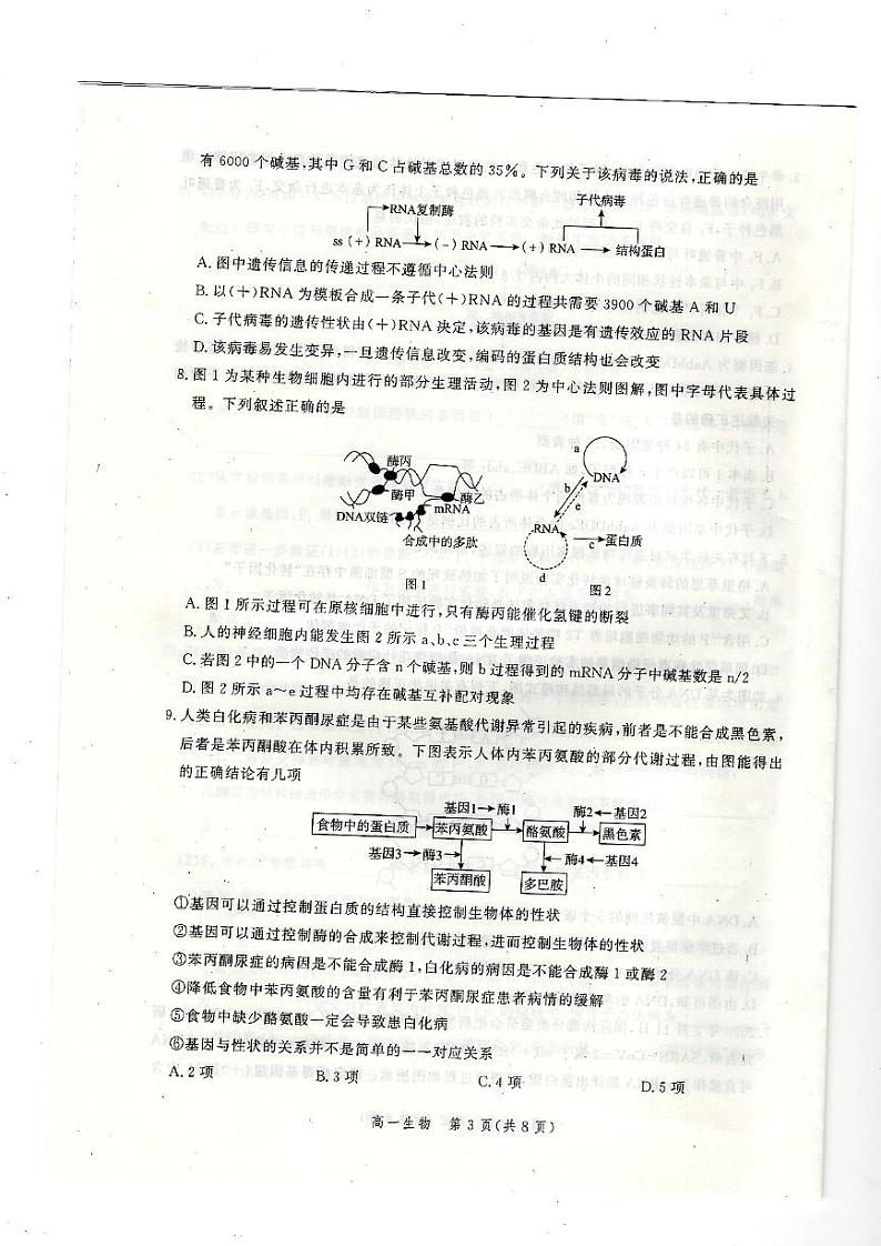2021邯郸高一下学期期末考试生物试题扫描版含答案03