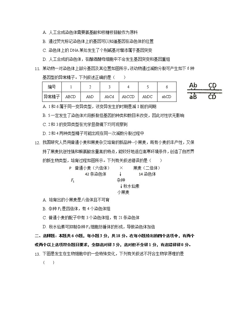 2021唐山曹妃甸一中高一下学期六月月考生物试卷含答案第3页