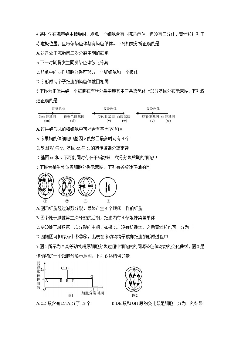 2021湖北省重点中学高一下学期5月联考生物含答案 试卷02
