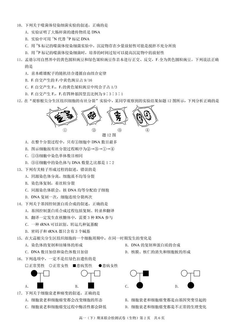 2021重庆市（康德教育）高一下学期期末联合检测生物试题PDF版含答案02