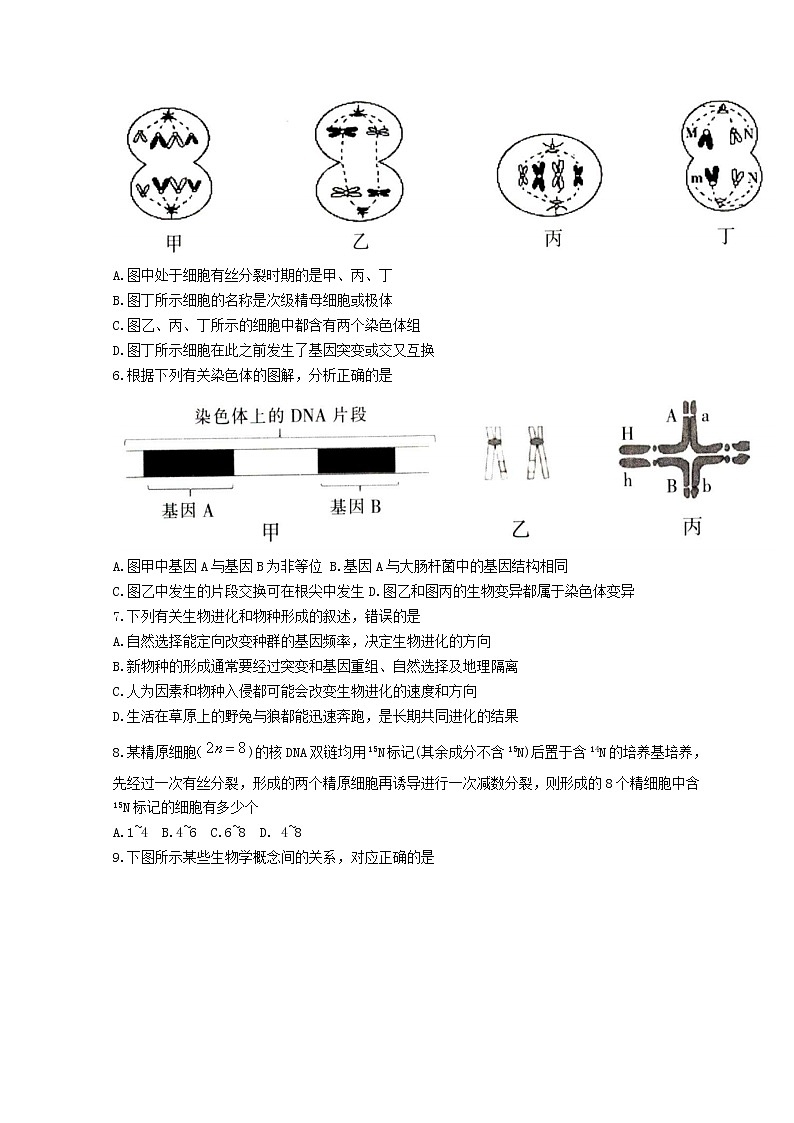 2022三明高三下学期5月质量检测（三明三模）生物含答案02