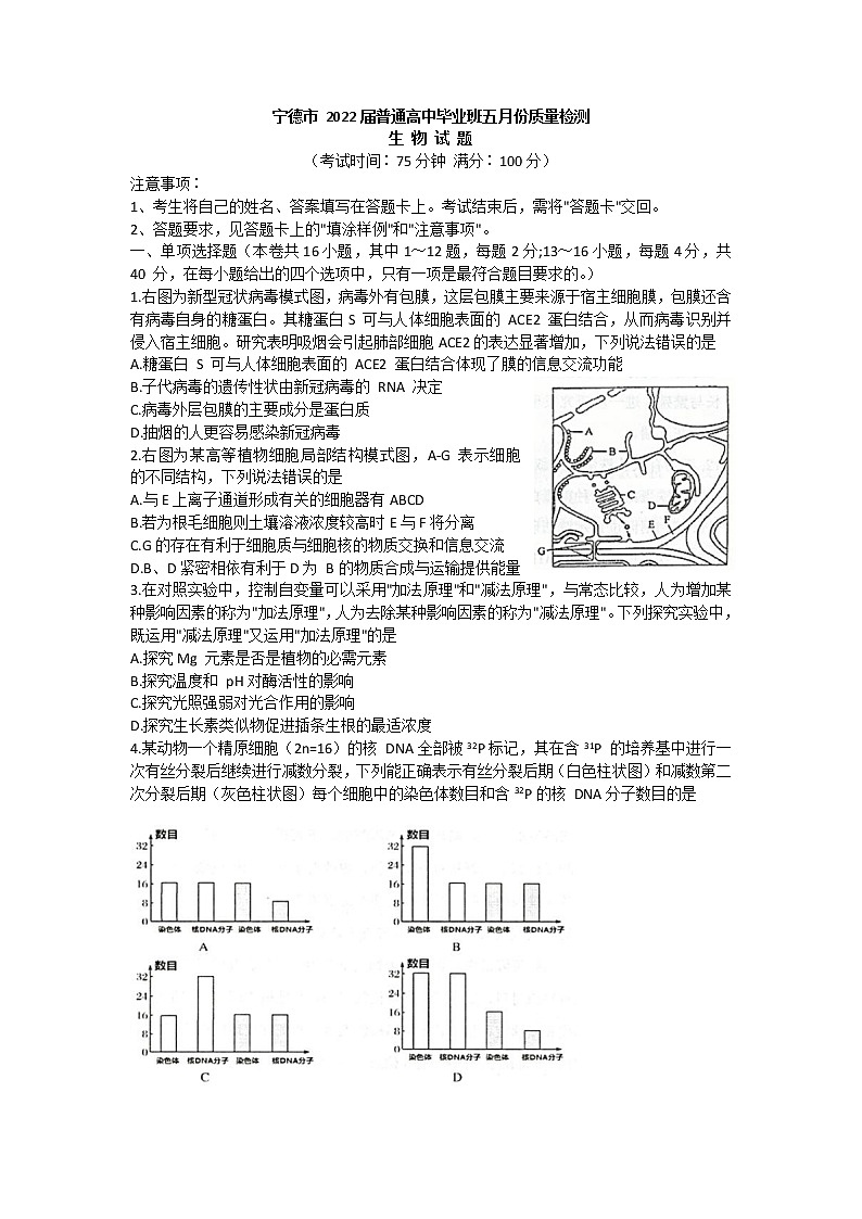 2022宁德高三下学期5月质量检测（宁德三模）生物含答案01
