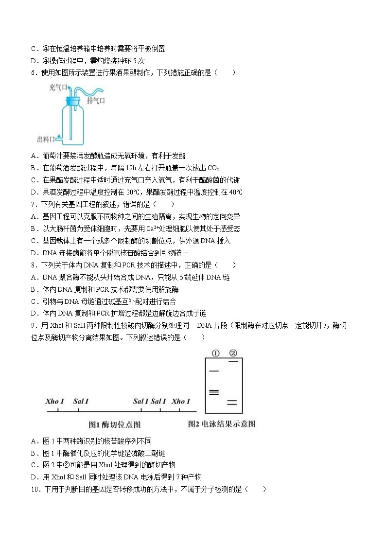 2022江苏省马坝高级中学高二下学期期中考试生物试卷含答案第2页