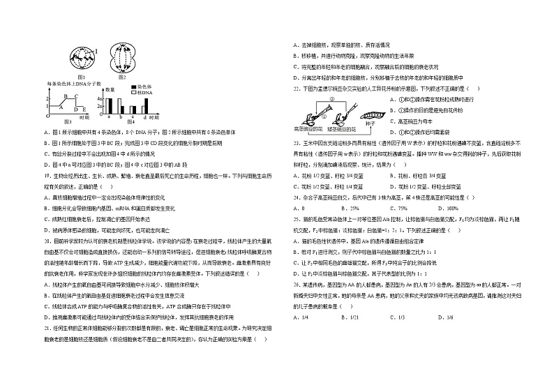新疆哈密市第八中学2021-2022学年高一下学期期中生物试题（含答案）03