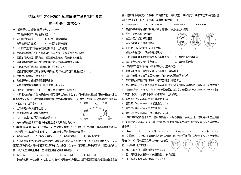 甘肃省靖远县第四中学2021-2022学年高一下学期期中生物试题（含答案）第1页