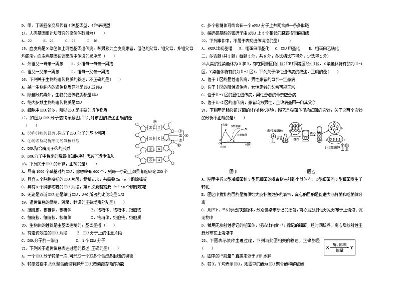 甘肃省靖远县第四中学2021-2022学年高一下学期期中生物试题（含答案）第2页