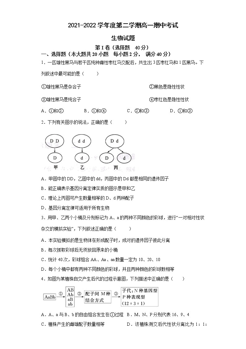 安徽省滁州市定远县民族中学2021-2022学年高一下学期期中考试生物试题（含答案）第1页